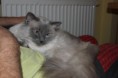/album/ine/img-3540-1-jpg/